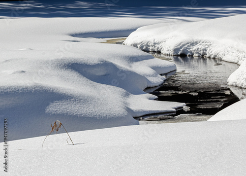 Icy water flowing in a forest stream in Muskoka during early March thaw 