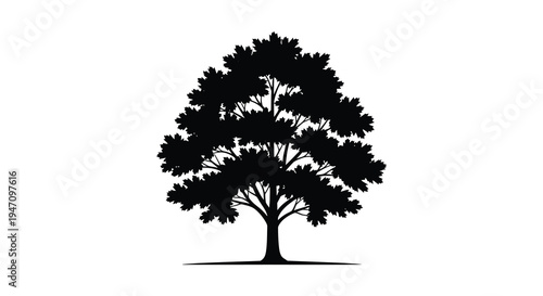 A detailed black silhouette of a full leafy tree stands against a bright white background silhouette high quality