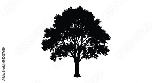 A detailed black silhouette of a mature leafy tree stands out against a plain white background silhouette