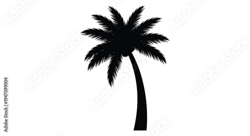 A solitary palm tree against a white background a striking silhouette