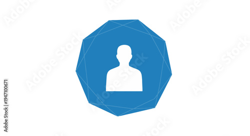 A blue octagonal icon features a white silhouette of a person inside.
