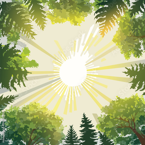 Sunlight bursts through canopy of green trees creating overhead view