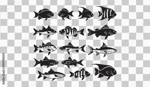 Fish Species Silhouette Vector Set