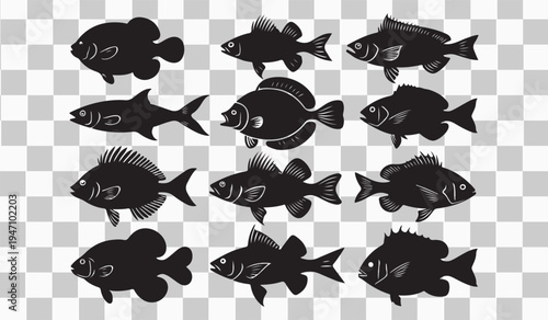 Diverse Fish Species Silhouette Vector Set