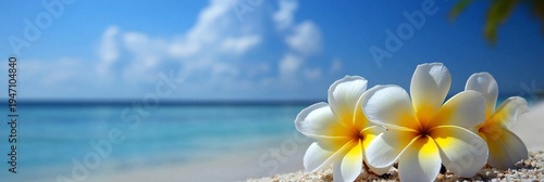 Discover the vibrant colors of Frangipani flowers by the sea. 