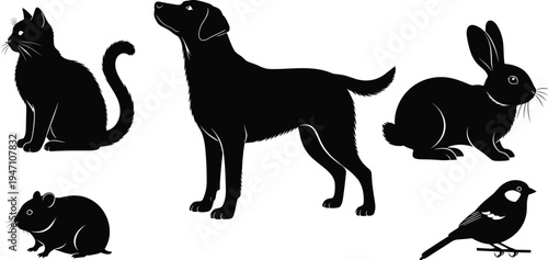 Stylized black silhouettes of common household pets including cat, dog, rabbit, mouse, and bird, simple animal illustration design for education, wildlife graphics, and icons