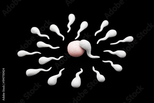 Handmade Polymer Clay Figure of Human Sperm Impregnate a Fertile Human Egg