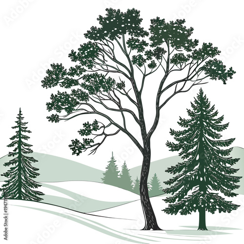 A serene winter landscape with trees on a snowy hill