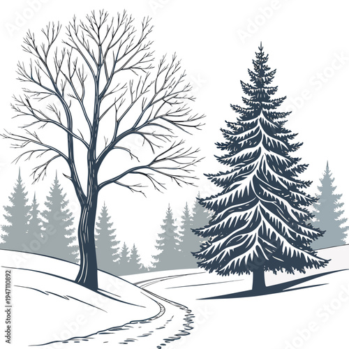 A snowy path between a bare tree and a snow covered pine tree