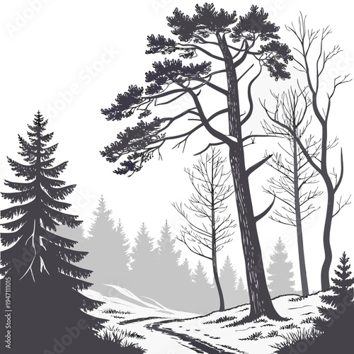 A black and white illustration of trees on a snowy hill