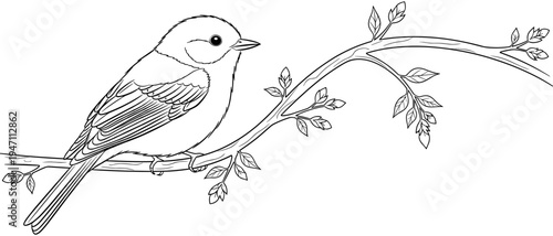 Hand drawn bird sitting on a tree branch vector illustration featuring elegant line art style for nature lovers spring season and wildlife themes.