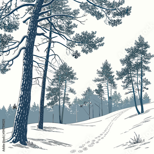 A snowy forest with pine trees on a hillside