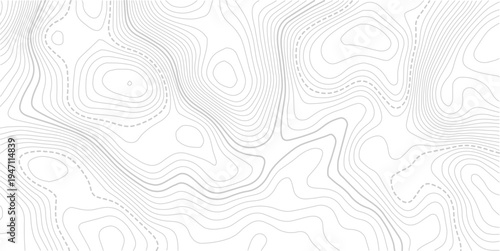 Beautiful Light topographic topo contour map background. Presentation background design.paper texture Imitation of a geographical map shades.