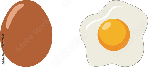 Realistic Brown Chicken Egg and Fried Sunny Side Up Egg Vector Illustration
