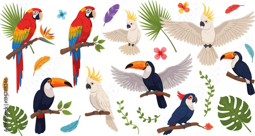Tropical Parrot and Toucan Bird Collection with Colorful Feathers, Cockatoo, Exotic Leaves, and Flowers for Jungle Wildlife Illustration and Nature Design