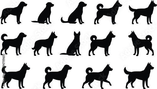 Dog Silhouette Collection, Various Breeds Including Labrador Retriever, Husky, and Shepherd in Standing and Sitting Poses, Vector Graphics for Pet Design Projects, 2026