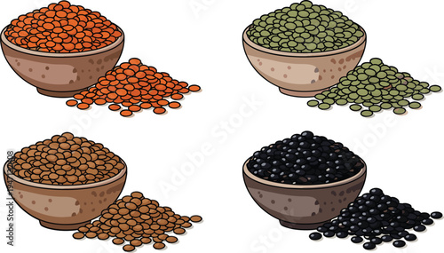 Collection of Lentils and Beans in Wooden Bowls Vector Illustration Set Featuring Red, Green, Brown, and Black Legumes Isolated on White Background