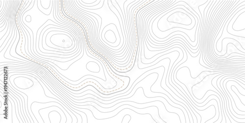 The stylized height of the topographic contour in lines and contours. Abstract geometric space. Topo line technology. Landscape, mesh map texture.
