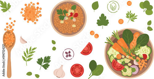 Healthy Lentil Soup and Fresh Vegetable Salad Vector Illustration Set with Ingredients, Herbs, Garlic, Tomato and Organic Food Elements