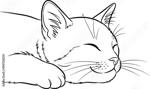 A serene sketch of a sleeping cat with closed eyes and peaceful expression