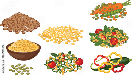 Healthy Lentils and Legumes Food Collection with Vegetables, Salad Ingredients, and Plant Based Protein Sources Vector Illustration Set