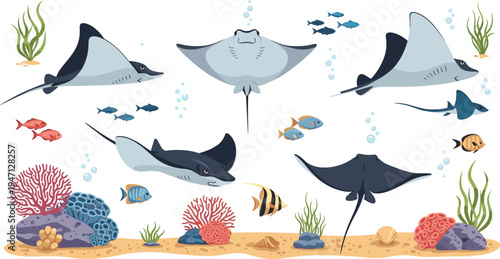 Stingray Marine Life Vector Illustration Set with Ocean Rays, Tropical Fish, Coral Reef Elements, Underwater Sea Animals Collection