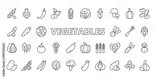 Vegetables icons in line design. vegetables, carrot, tomato, cucumber, broccoli, cabbage, onion on white background vector. Vegetables editable stroke icons