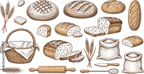 Hand drawn bakery bread collection with wheat ears, sliced loaf, bread basket and baking tools vintage vector illustration