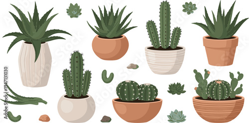 Succulent and cactus houseplants collection in decorative pots with aloe agave and desert plants botanical indoor garden vector illustration set