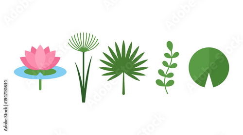 Flat vector illustration of diverse aquatic plants pink lotus lily pad fan palm papyrus and leafy stem.