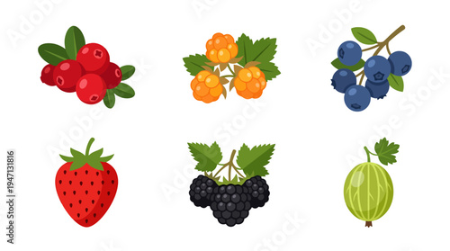Vibrant flat design collection of fresh berries including red orange blue and green fruits.