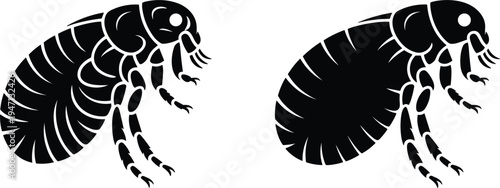 Black Silhouette Fleas Detailed and Solid insect pest