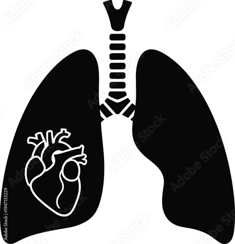 Black Silhouette Icon Of Human Lungs With A Detailed Heart Outline Inside human anatomy organ