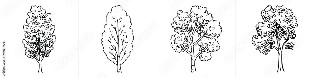 Obraz premium collection of four deciduous tree sketches in a minimalist black and white line art style design vector illustration artwork 