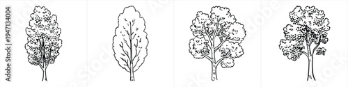 collection of four deciduous tree sketches in a minimalist black and white line art style design vector illustration artwork
