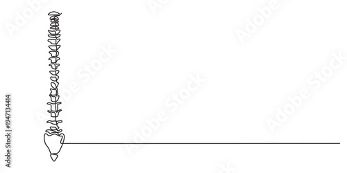 spine continuous one line drawing, Continuous one line drawing bones of human hand.  Wrist bones in single line art vector illustration. Editable stroke., Spine icon, Human spine vector illustration.