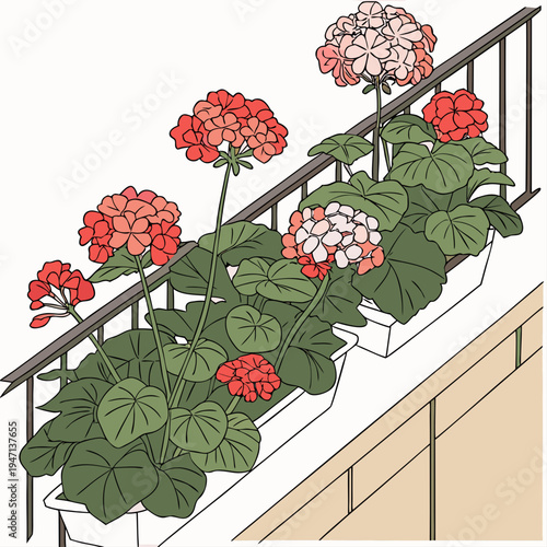 Vibrant red and white flowers in planters on balcony railing