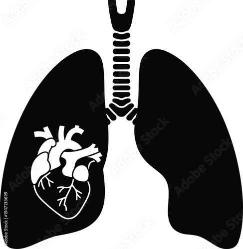 Black Silhouette of Lungs with White Outline of Heart on Left Side anatomy human