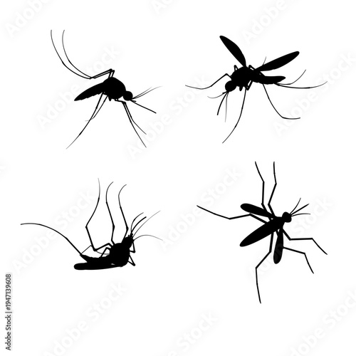 Mosquito Silhouette Set with Flying Insect Positions