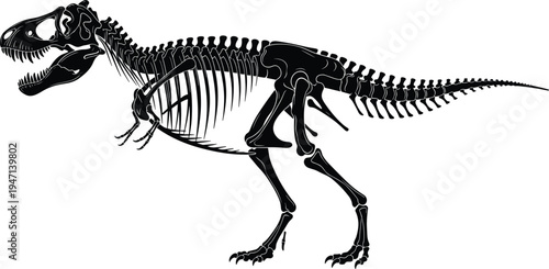 Tyrannosaurus Rex skeleton silhouette prehistoric dinosaur fossil bone structure for museum exhibition paleontology education science research ancient predator isolated vector