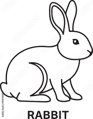 A detailed line drawing of a rabbit sitting, with the word rabbit written underneath isolated on transparent background, isolated on white background, Vector