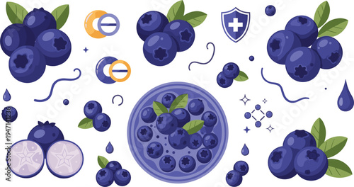 Blueberry Superfood Vector Illustration Set with Fresh Berries, Bowl, Vitamins, Antioxidants and Healthy Nutrition Elements