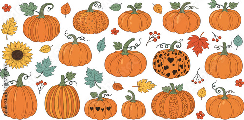 Autumn Pumpkin Vector Set Featuring Decorative Fall Pumpkins, Leaves, Sunflower and Berries for Thanksgiving Harvest and Seasonal Design