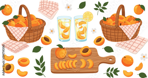 Fresh Apricot Fruit Vector Illustration Set with Basket, Sliced Apricots, Juice Glasses and Rustic Kitchen Elements