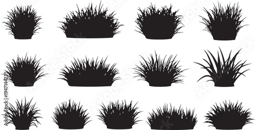 A collection of various types of grass clumps in black and white silhouette format isolated on transparent background, isolated on white background, Vector