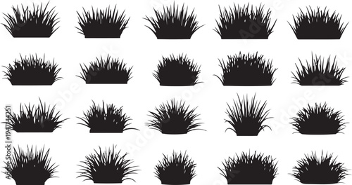A collection of various grass clumps in different shapes and sizes isolated on transparent background, isolated on white background, Vector