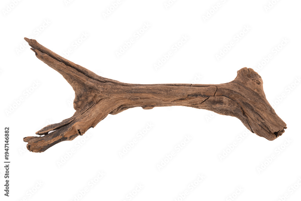 Obraz premium This captivating floating wooden sculpture moves gracefully, showcasing the art of nature. Each twist and curve tells a story of strength and beauty, inviting viewers to contemplate the passage of tim