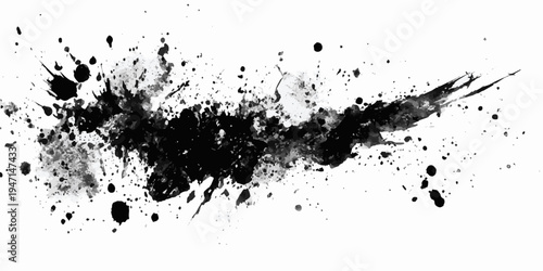 A detailed close-up view of a black ink splatter with intricate patterns and textures.