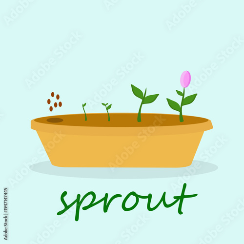 Illustration of plant growth stages from seed to sprout in soil container. Gardening concept showing germination and plant development. Perfect for agriculture, ecology, nature and education themes.