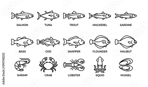 Line art illustrations of popular fish and seafood varieties